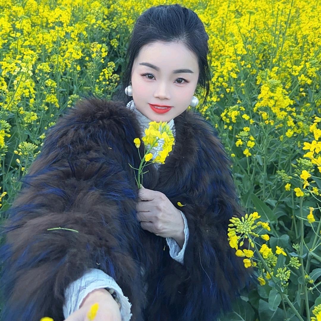 冰雪玫瑰