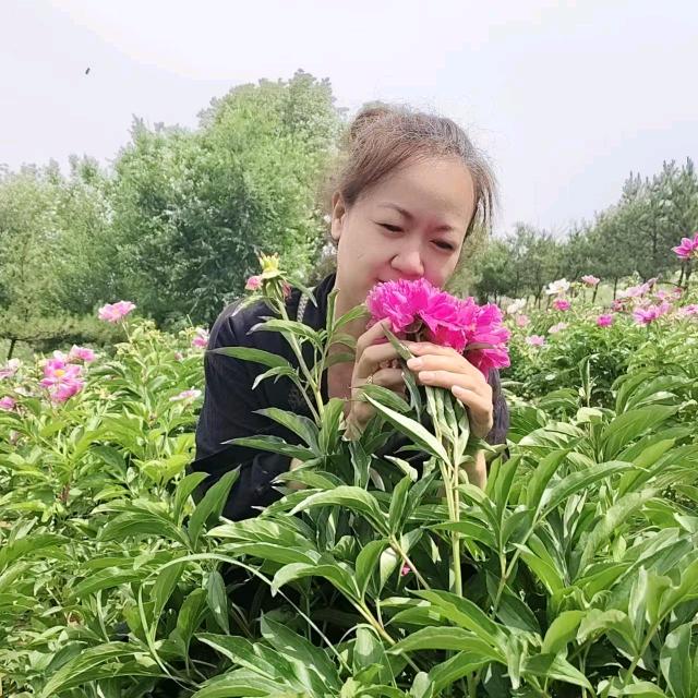 呼市张姐好房推荐