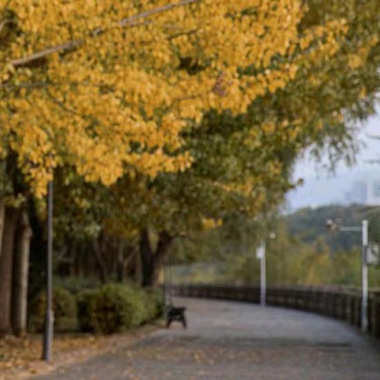 (๑>小承子<๑）