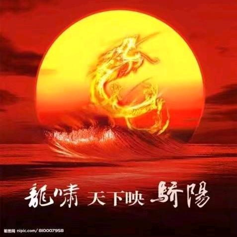 飞龙在天67