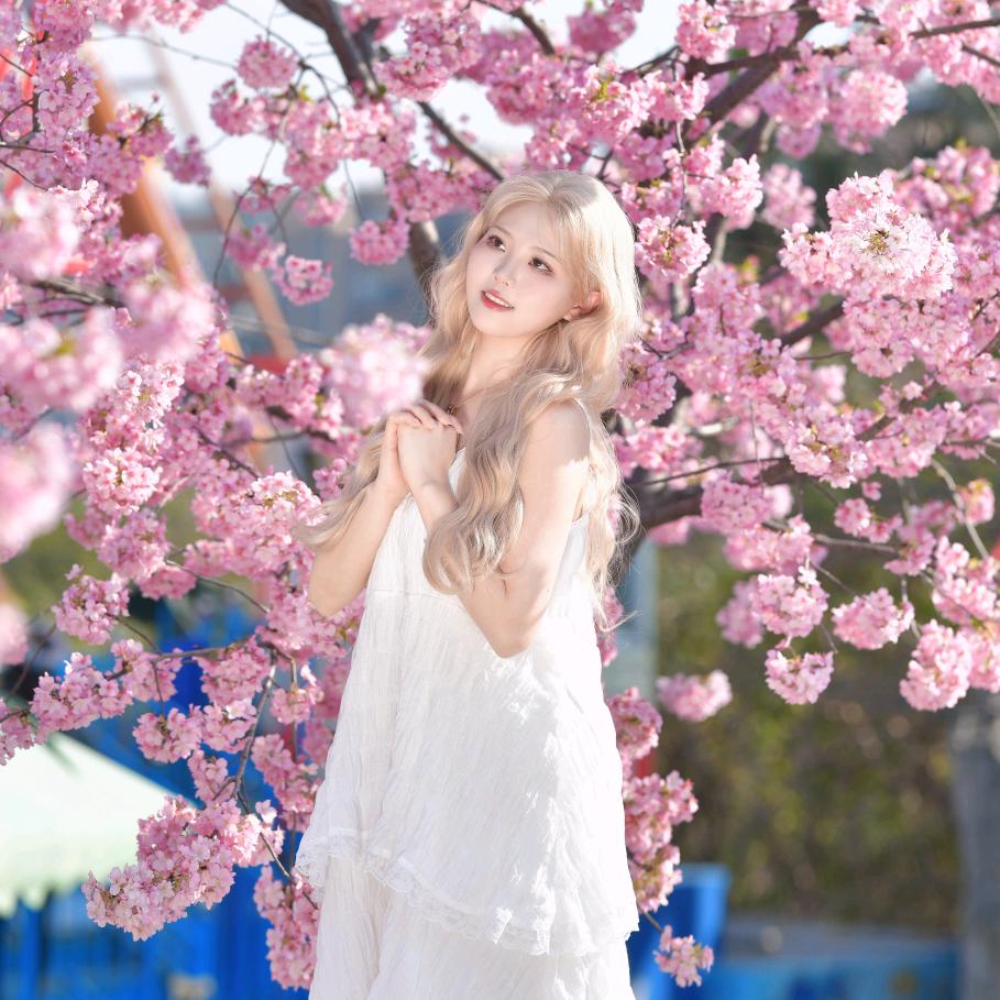 小青青吖