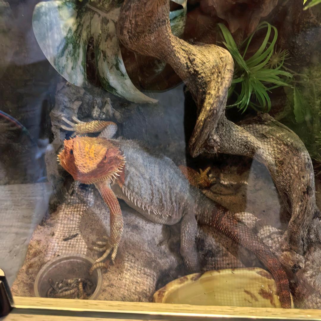 最熟悉的陌生人、🌈🌈🌈