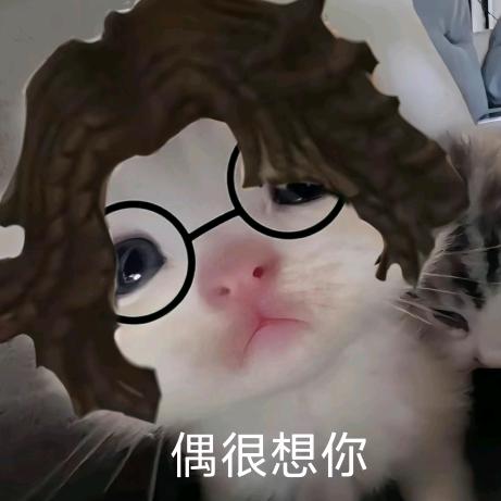 织偶
