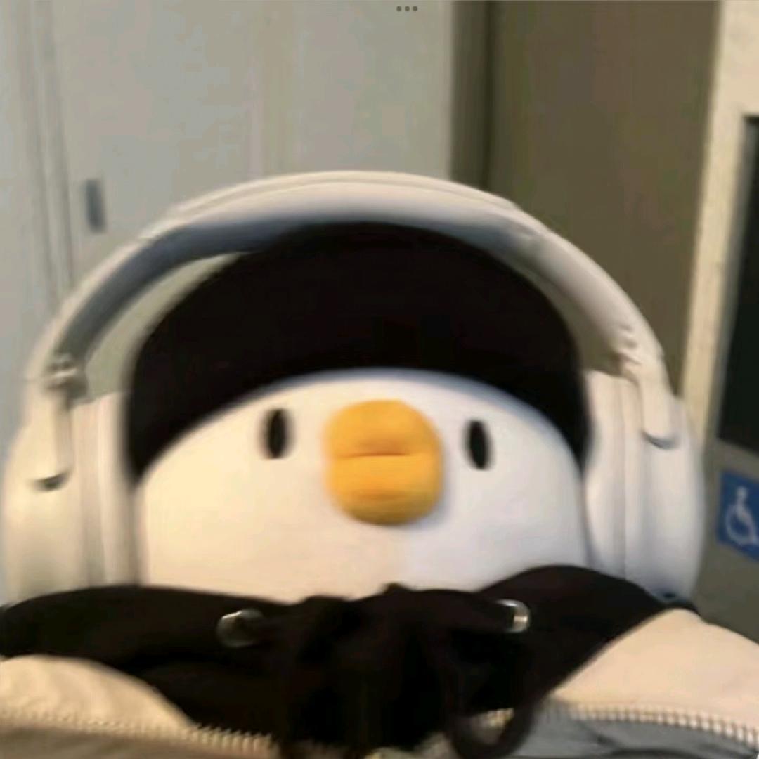 俏也不争春