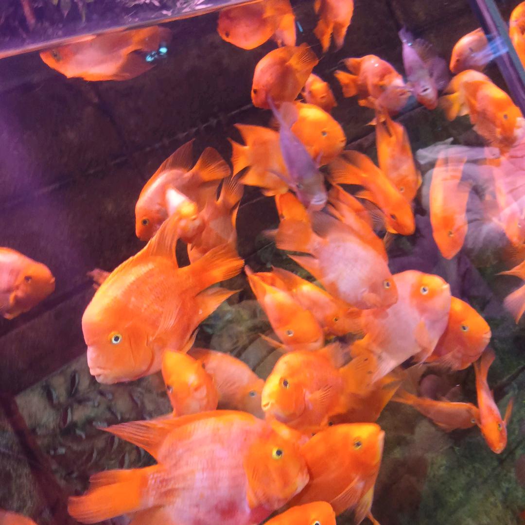 大青沟美神烫染理发店，欢迎新老顾客光临