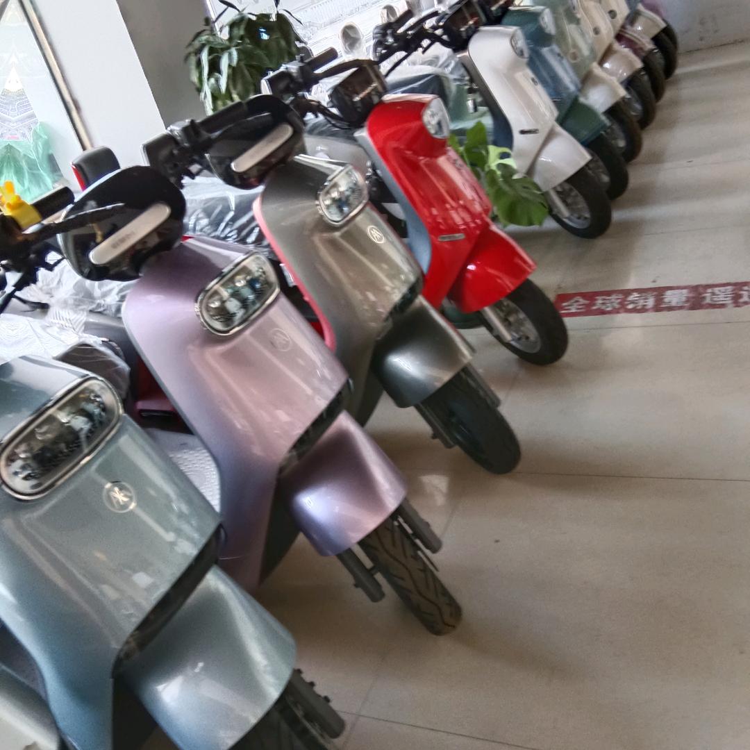 电摩维修🏍胡