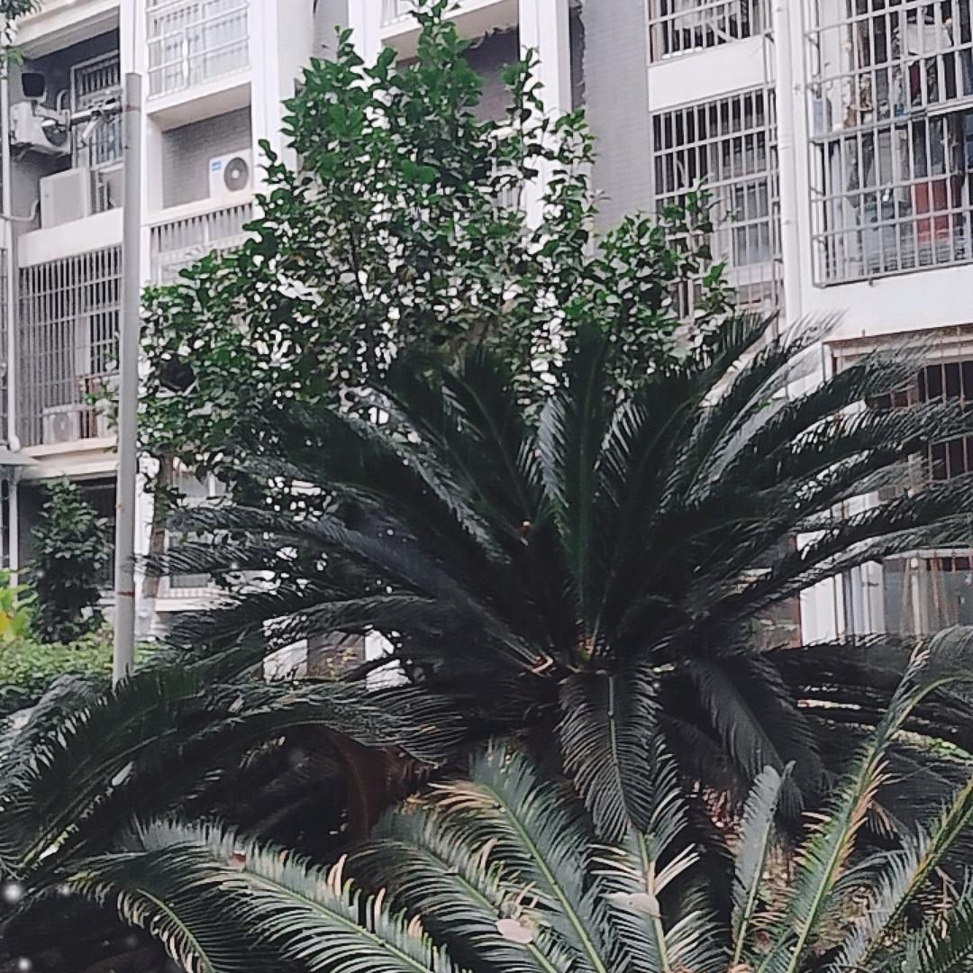 易路上（抖音创业）