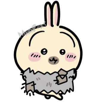 洽洽