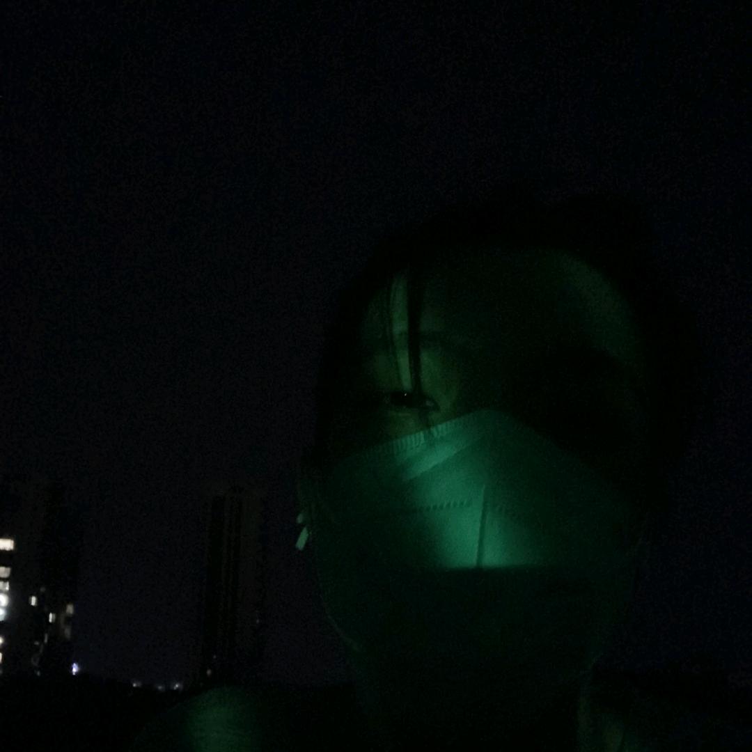 刘岩的松