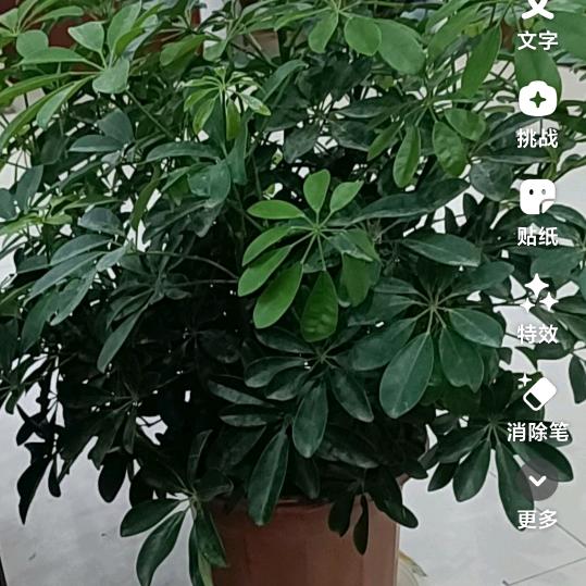 a遇见