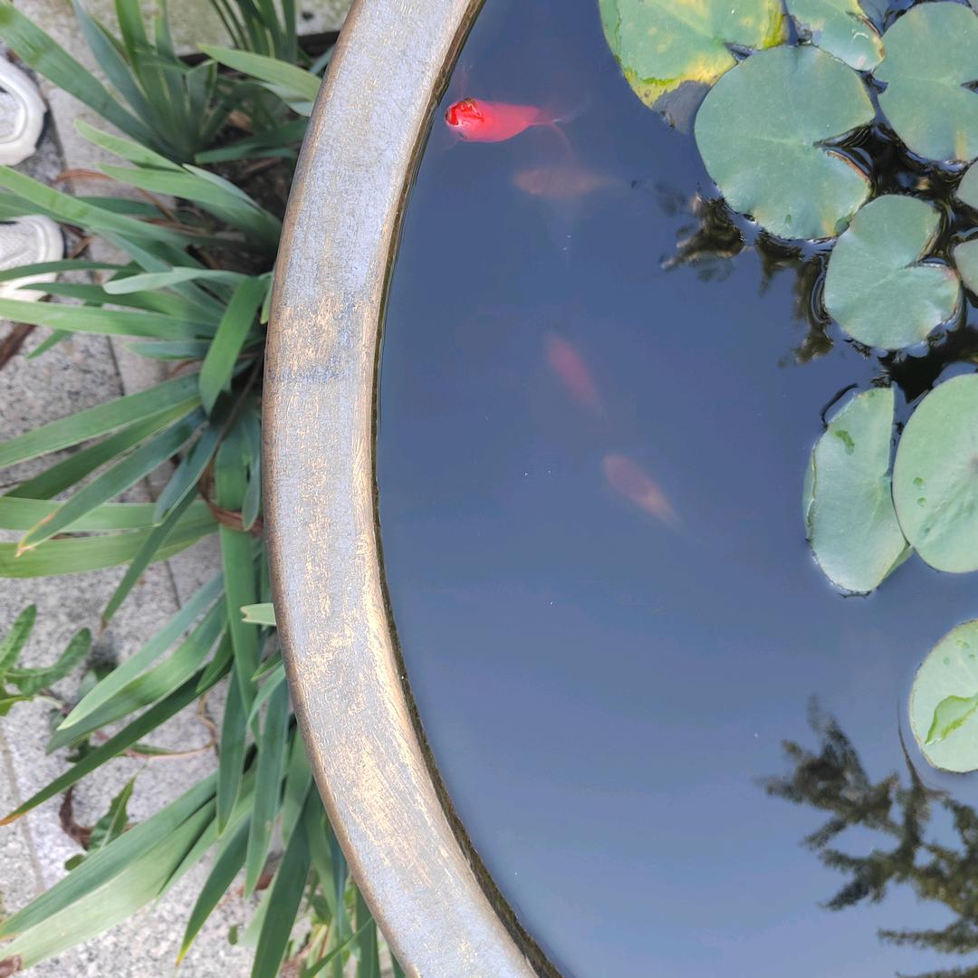 琪宝在努力