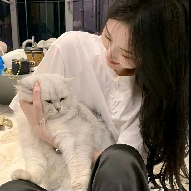 糊涂蛋～✘