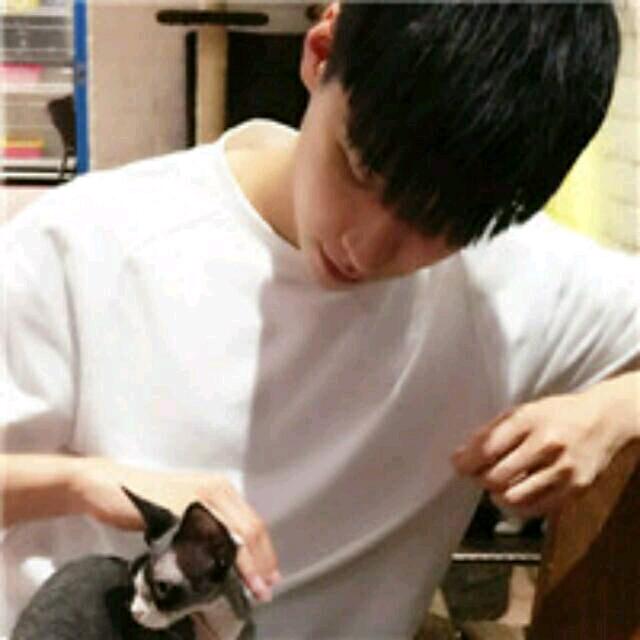 羊羽