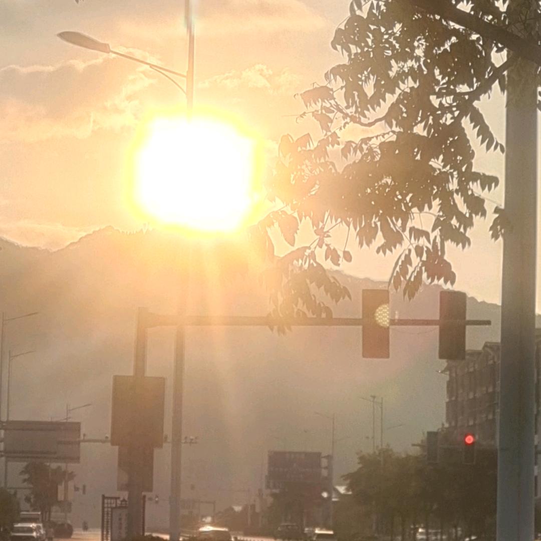 太阳照亮了我。
