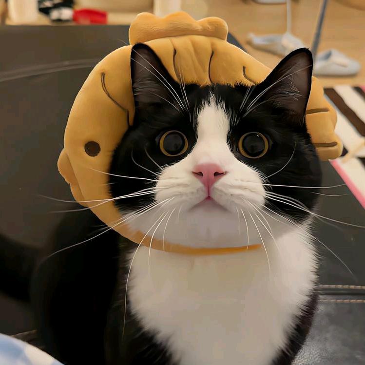 猛踹瘸子好腿