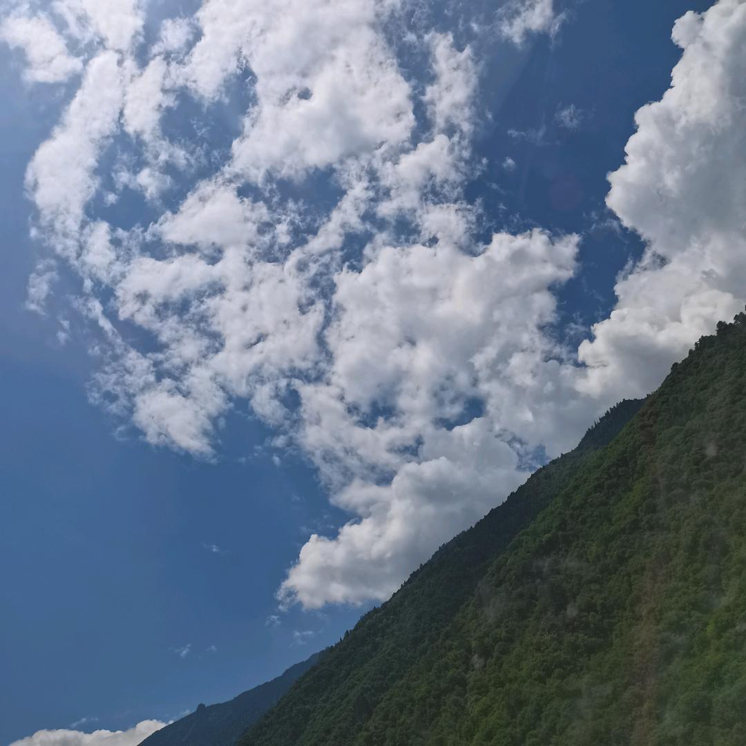萱月