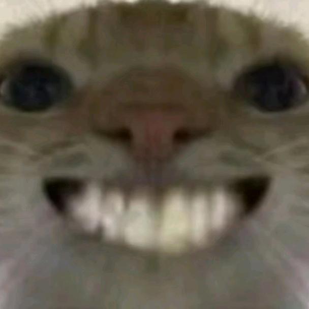 我只是一只小鼠鼠