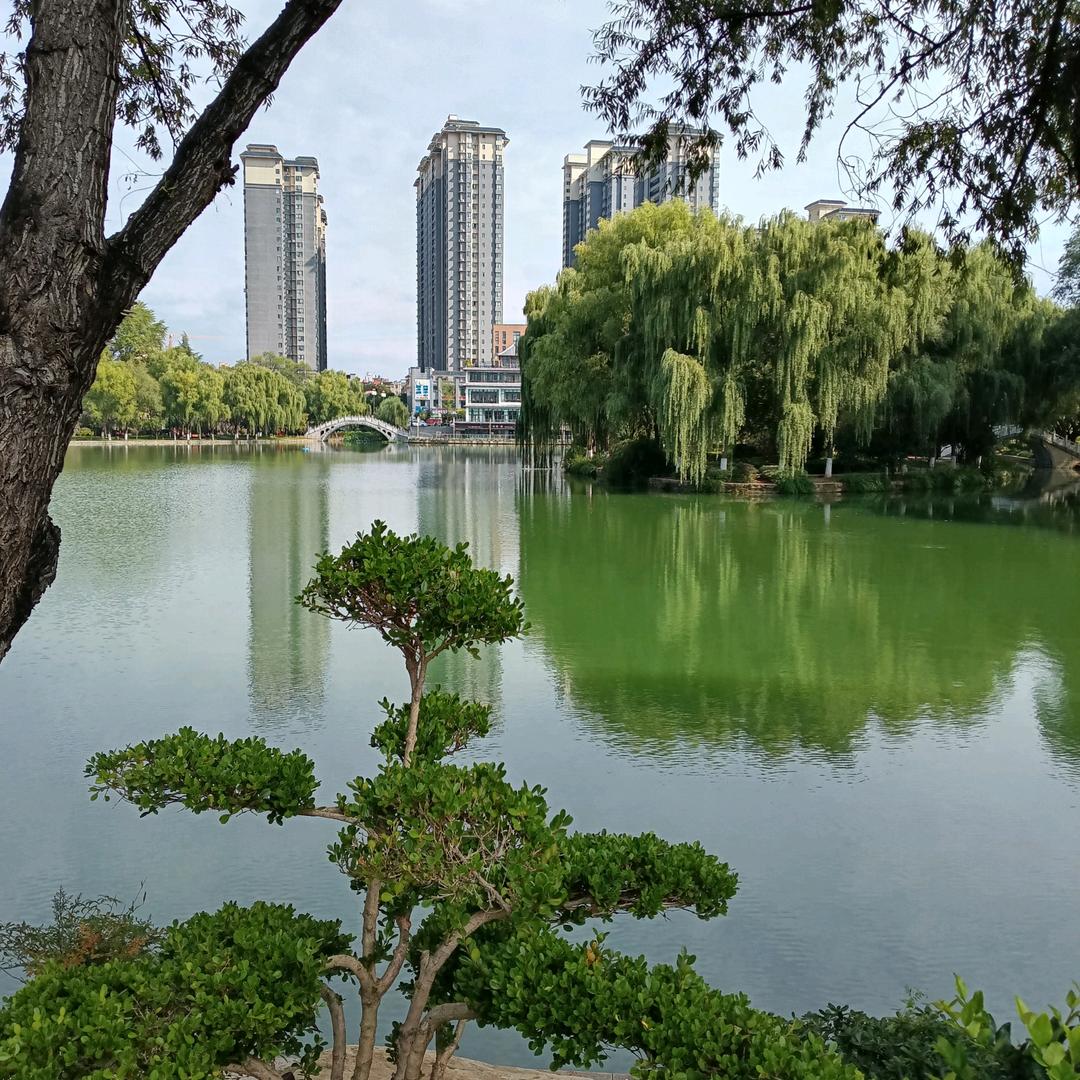 龙登坡的放牛娃🐂🍺