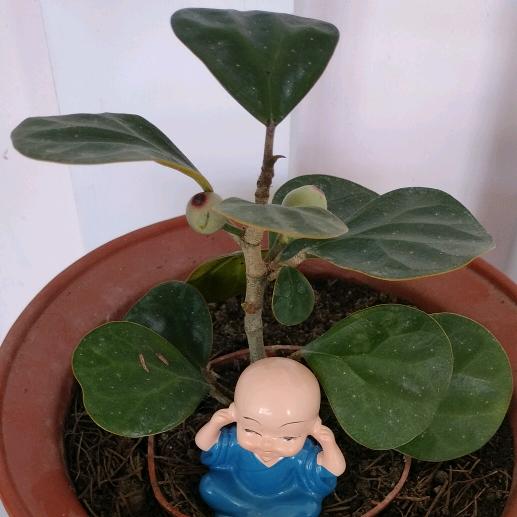 善～美《拒私聊》