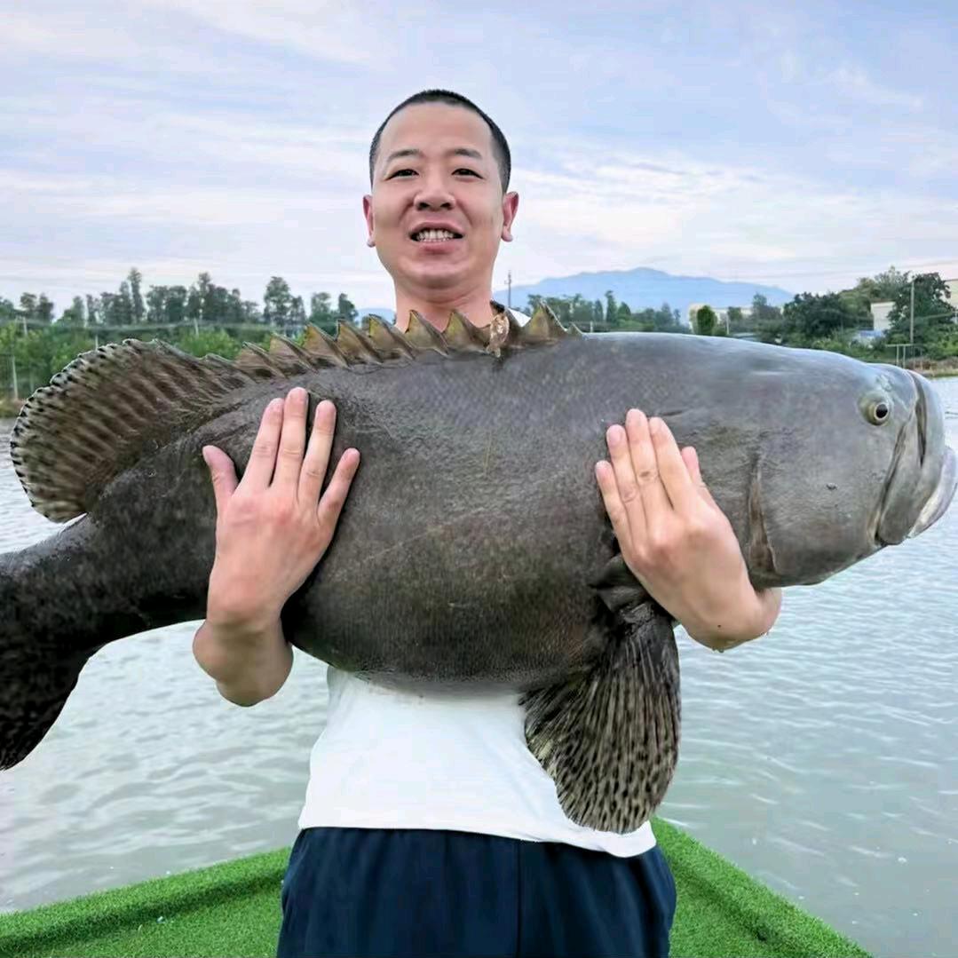 钢蛋儿钓鱼