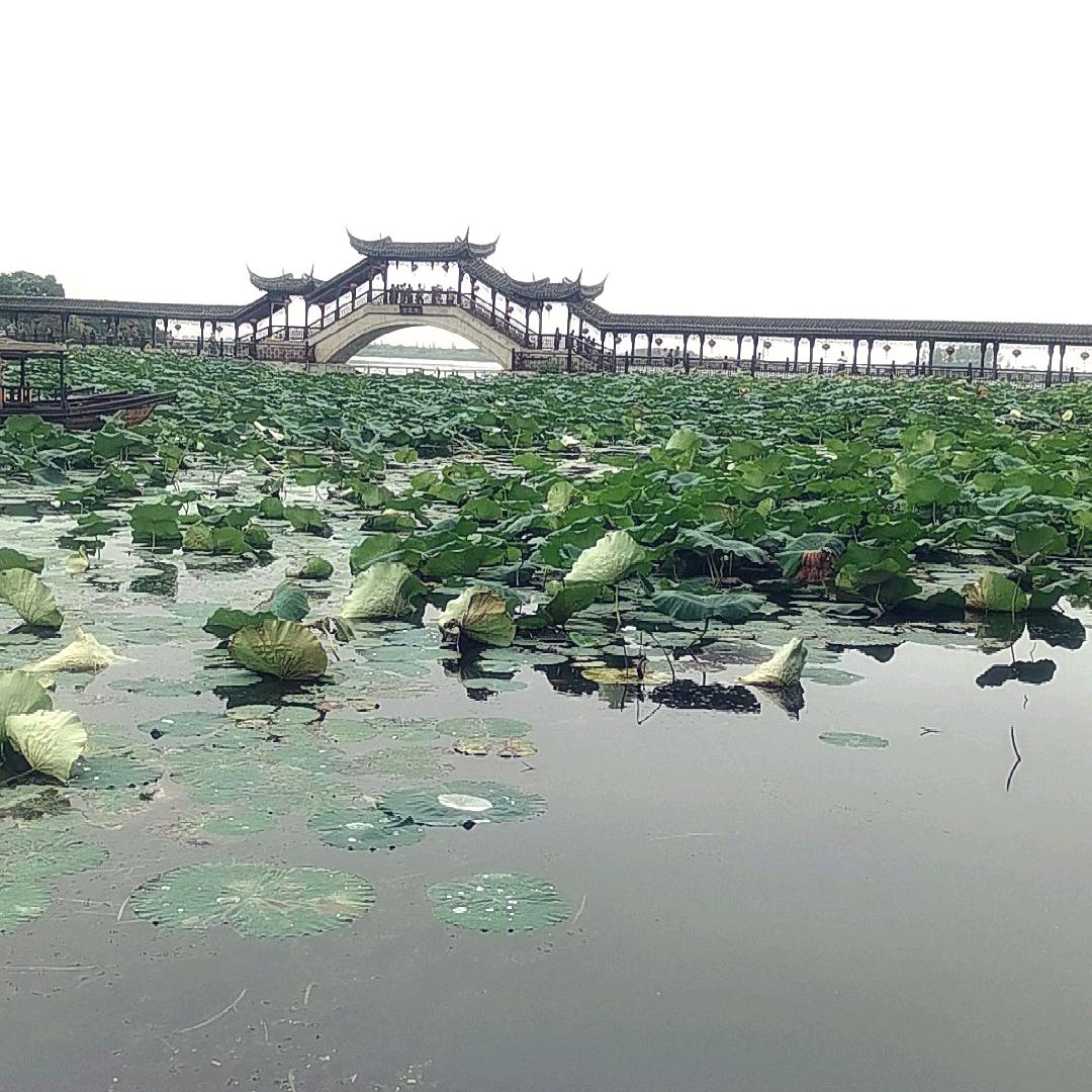 ༻྅往事༂ღ清零྅༺