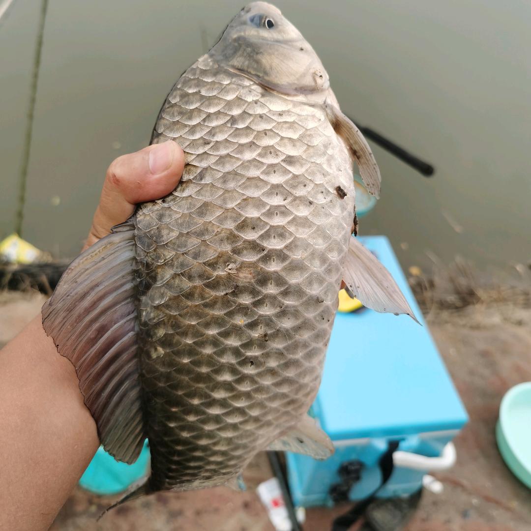 此话作废（橱窗有好物）