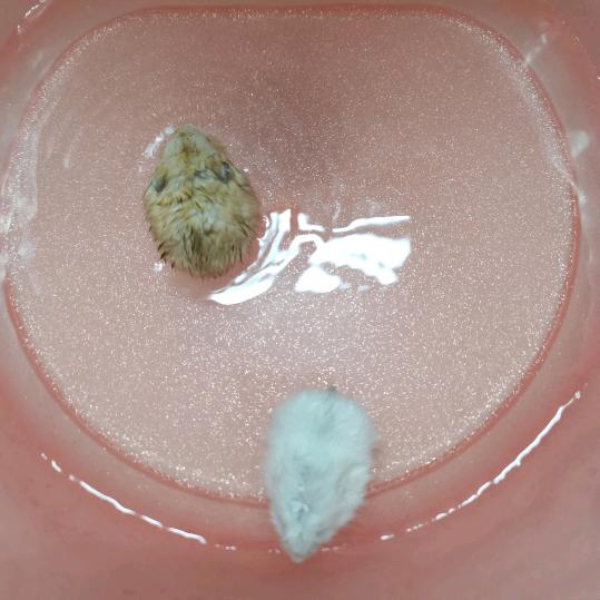 《允许发呆》