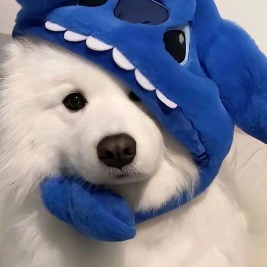 紊林