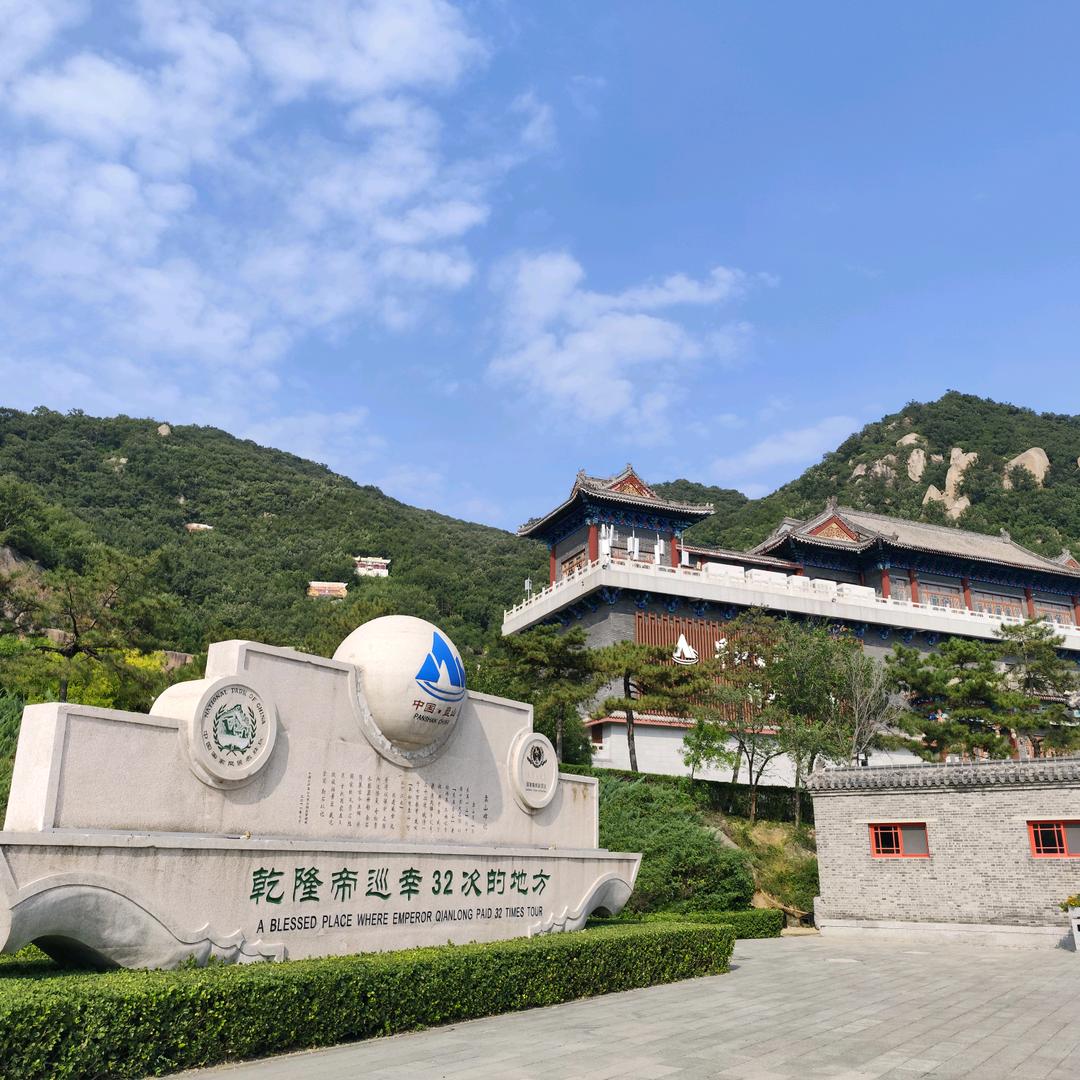 奔跑中的野马