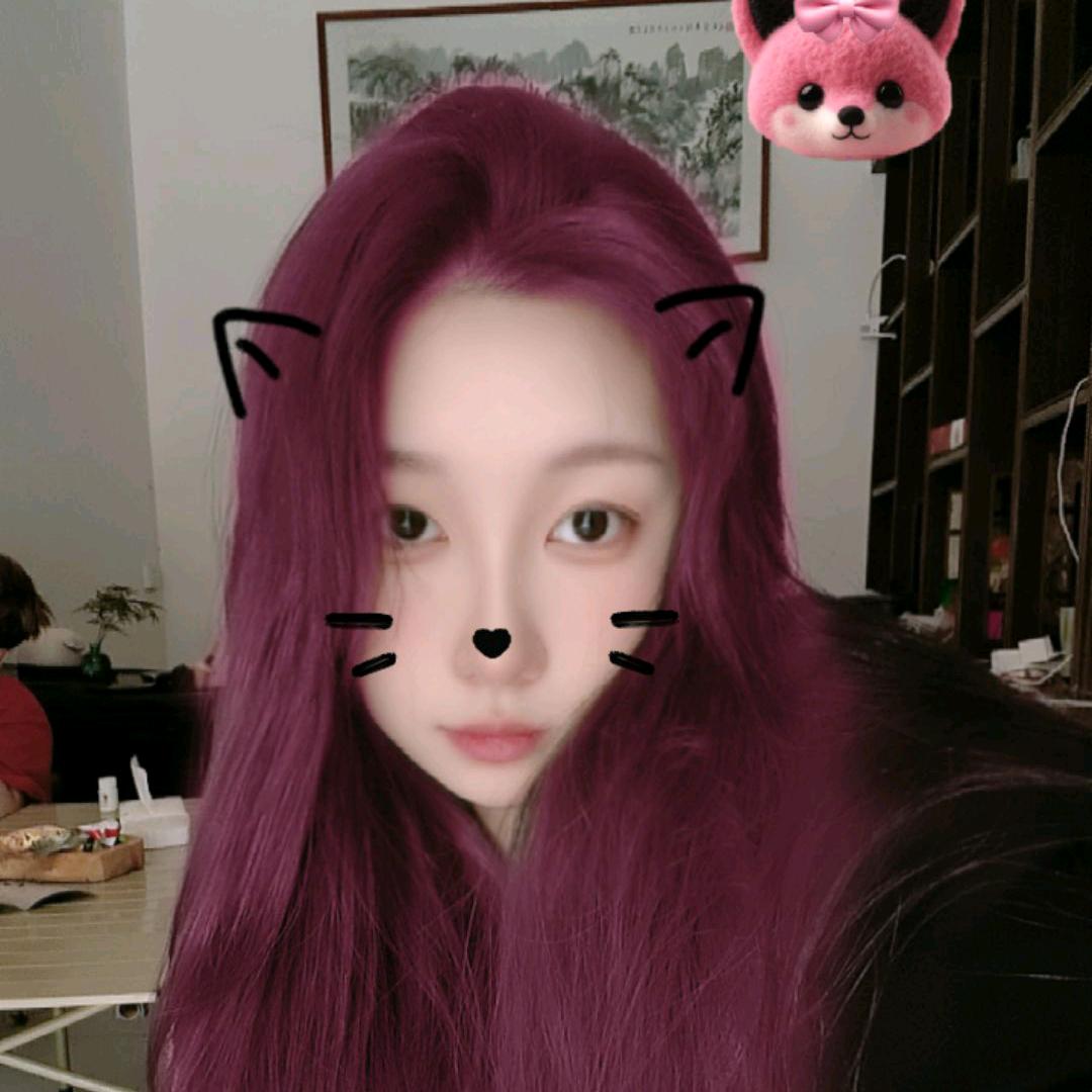 夜蒲猫 小红