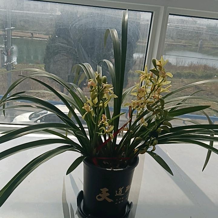 开心快乐每一天