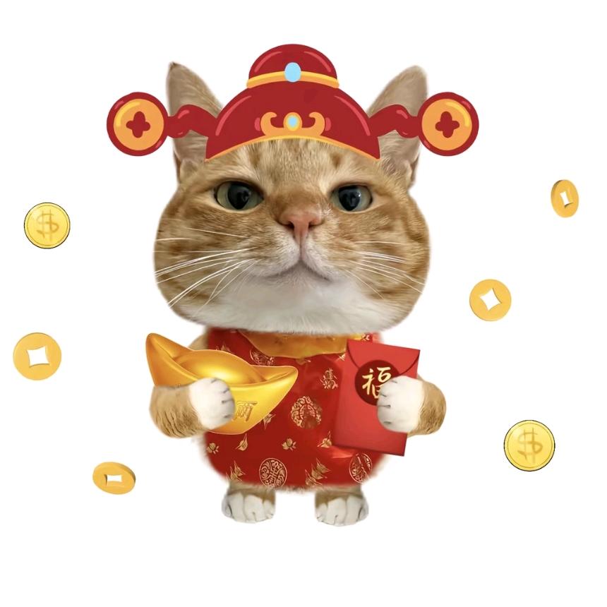 小恐龙～