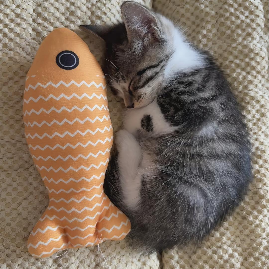 猫咪不吃鱼^