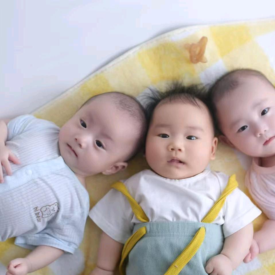 梅姐🐉🐉🐍