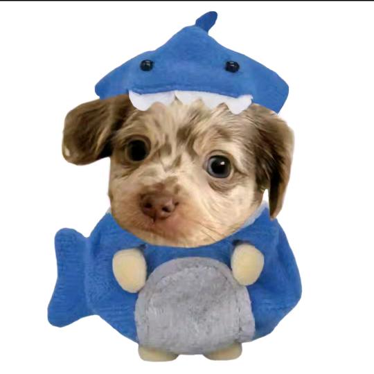 我