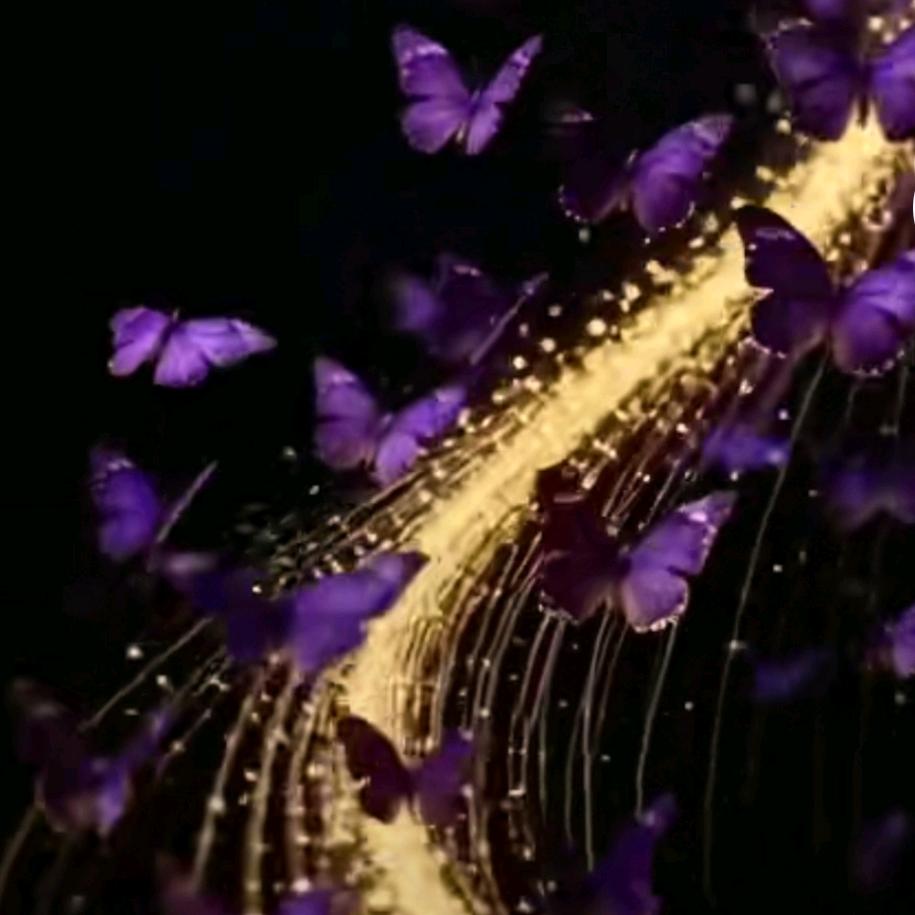 ♡ღ浅♡若♡清ღ风☄清◑欢∇不◑散