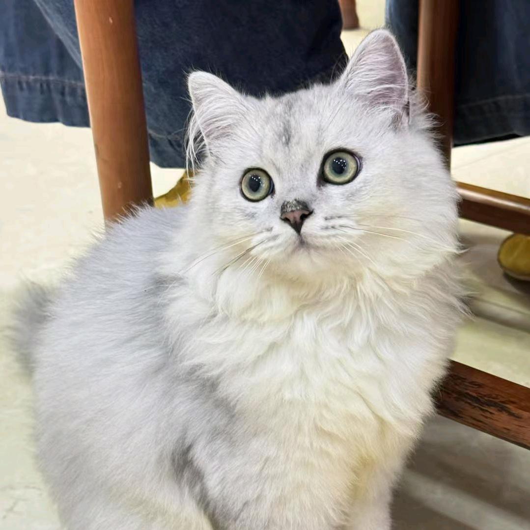 桃花源·王掌柜