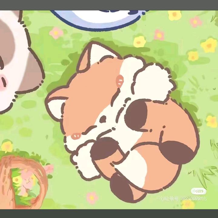 修罗黑兔▬◙▇▇◤