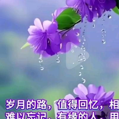 姣宝贝