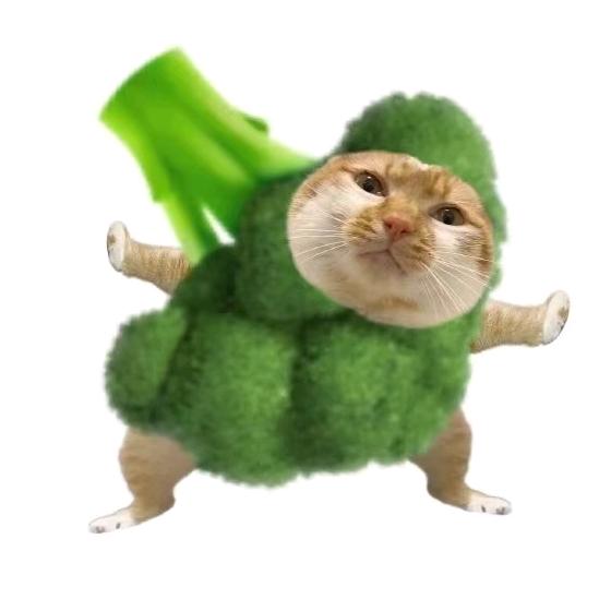 得意的西兰花