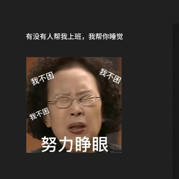 狞猫