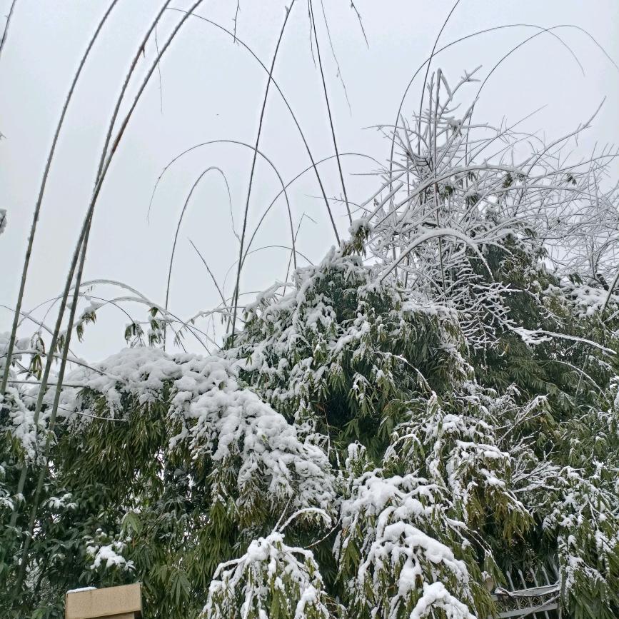 再见已是陌路人