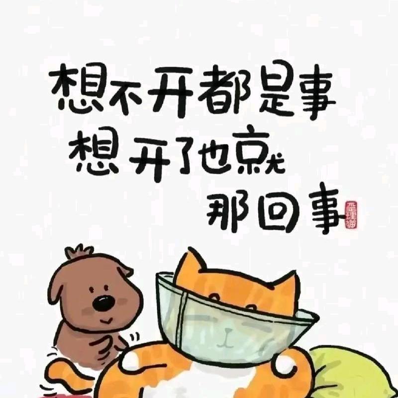 Ｚ  张💤