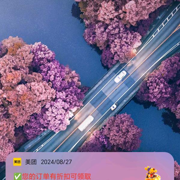 落叶