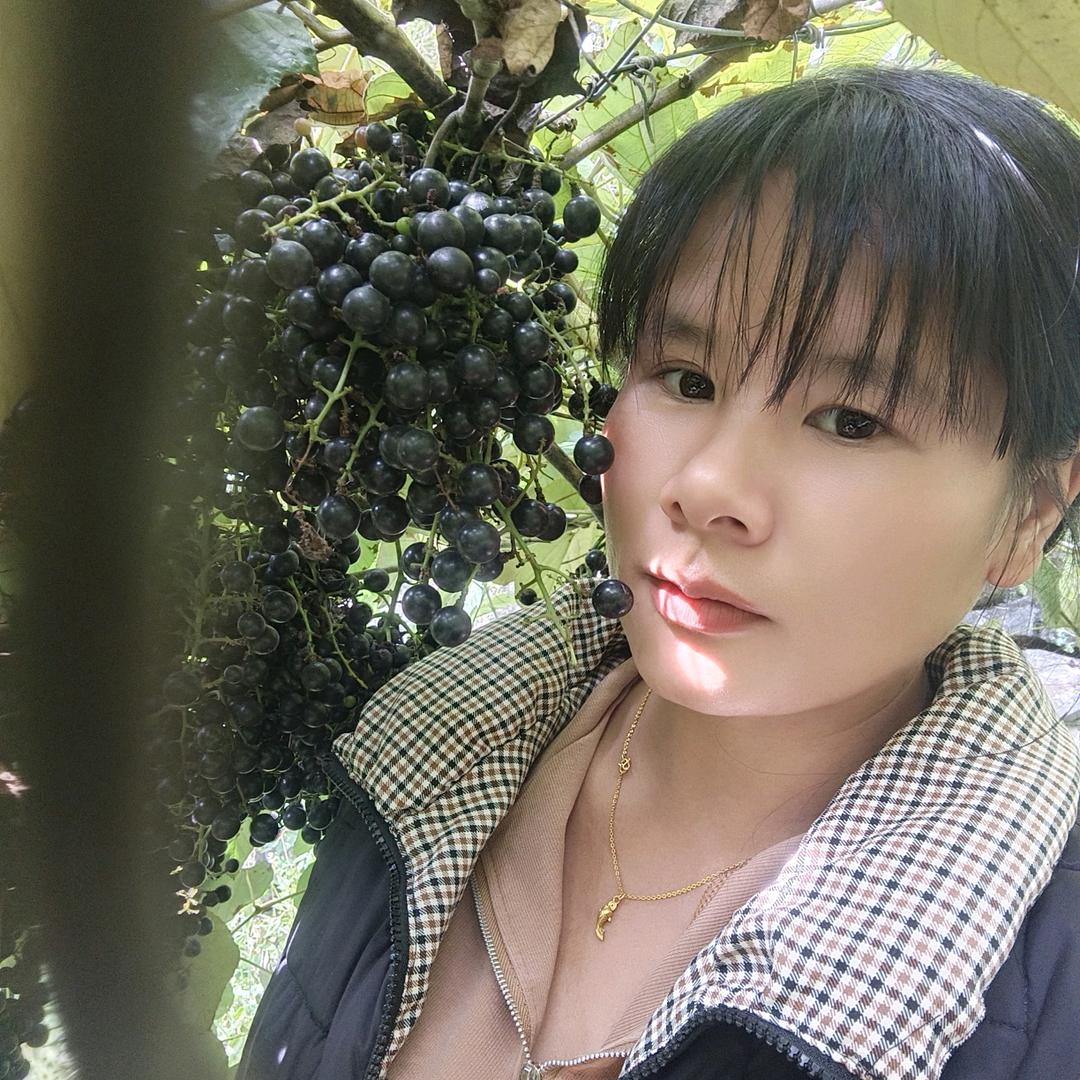 椰子批发零售Zhen柳州海吉星小车板59