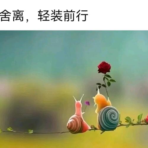 乡村小时光