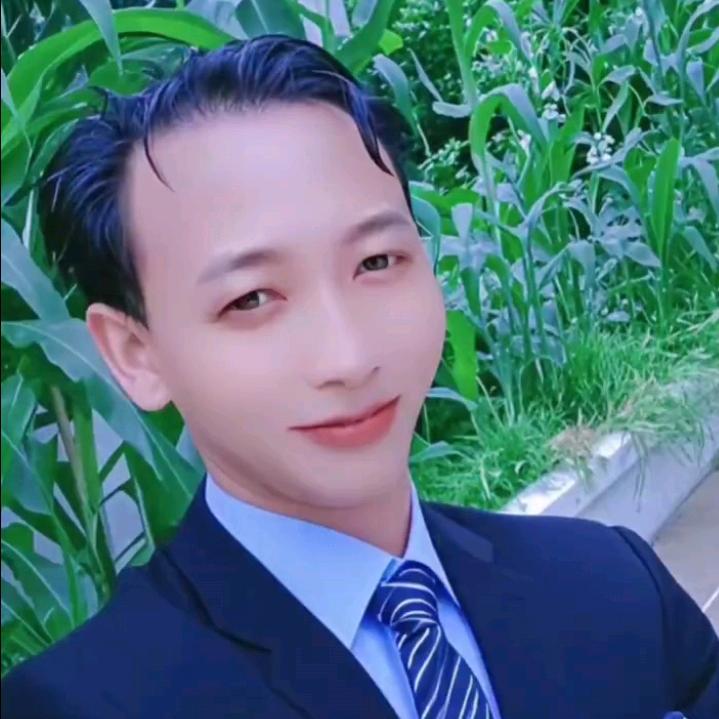 敖氏盆景鲜花花卉
