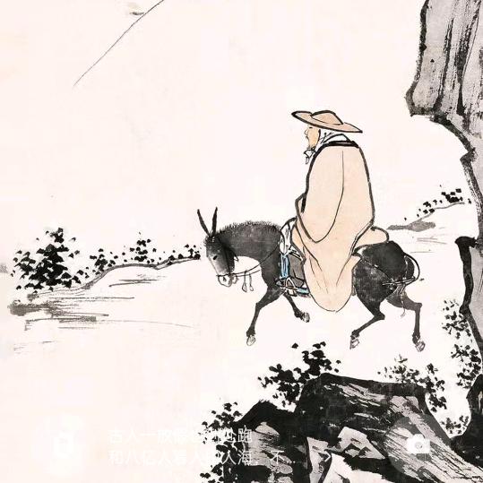 桥哥🎒你的生活小帮手