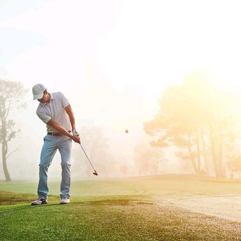 宜都龙贸易商行