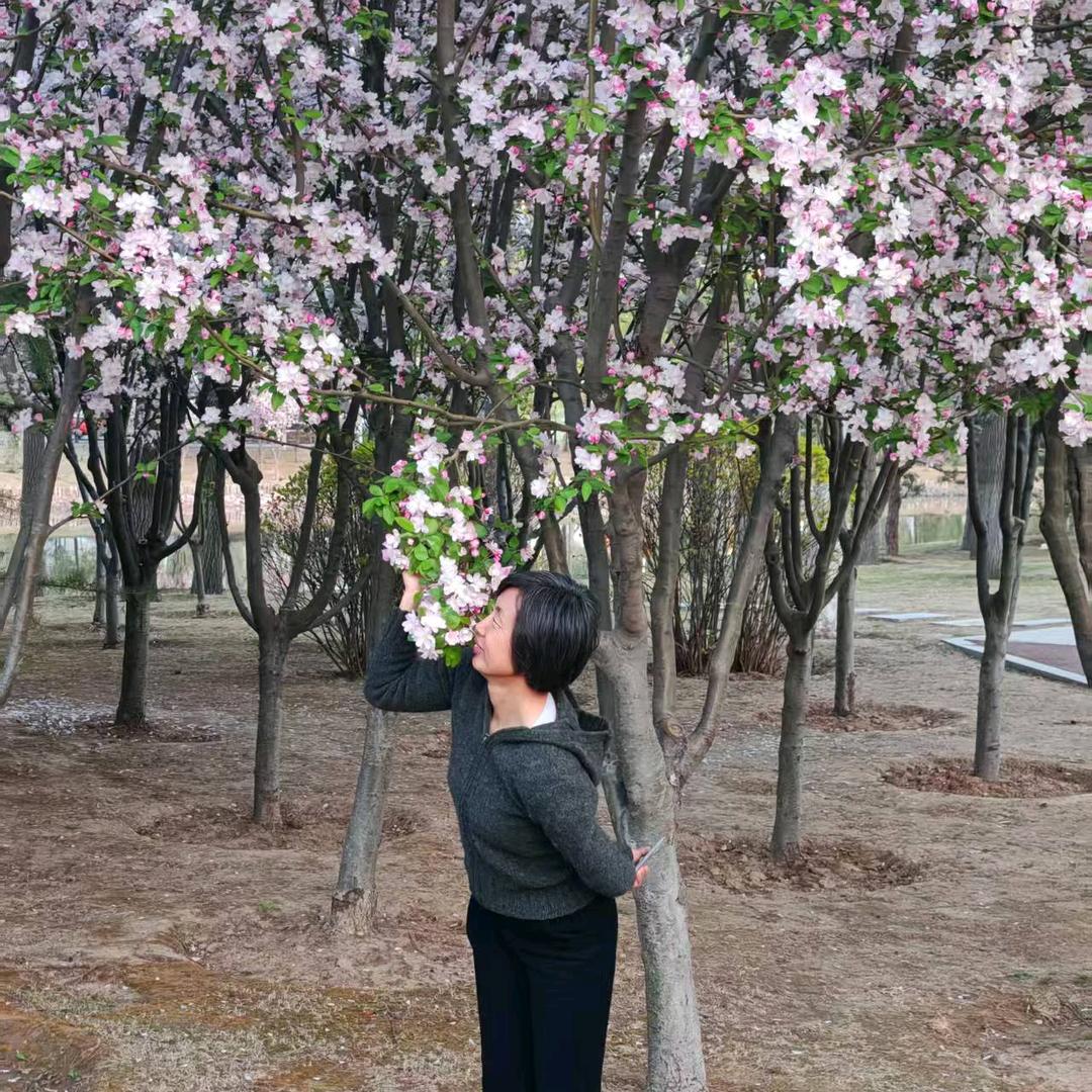 面条姐